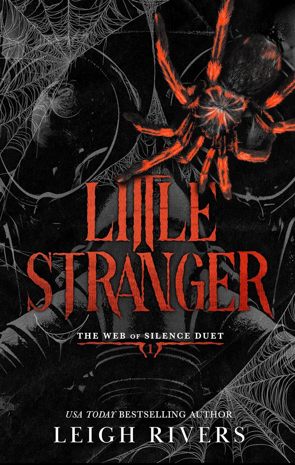Little Stranger by Leigh Rivers